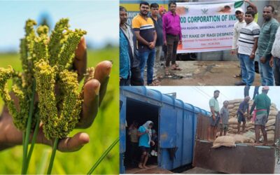 FCI procures finger millet from Koraput and Nabarangpur